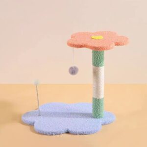 Gimnasio Pequeño Little Flower