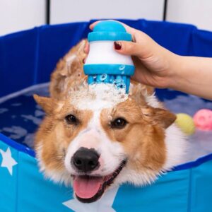 Cepillo dispensador de jabón y masajeador