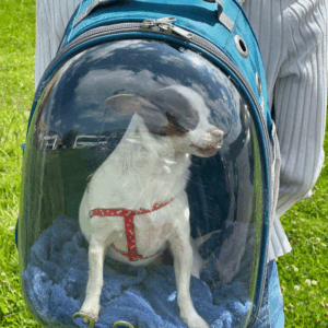 Cápsula Morral Paisajes para Mascotas Pequeñas